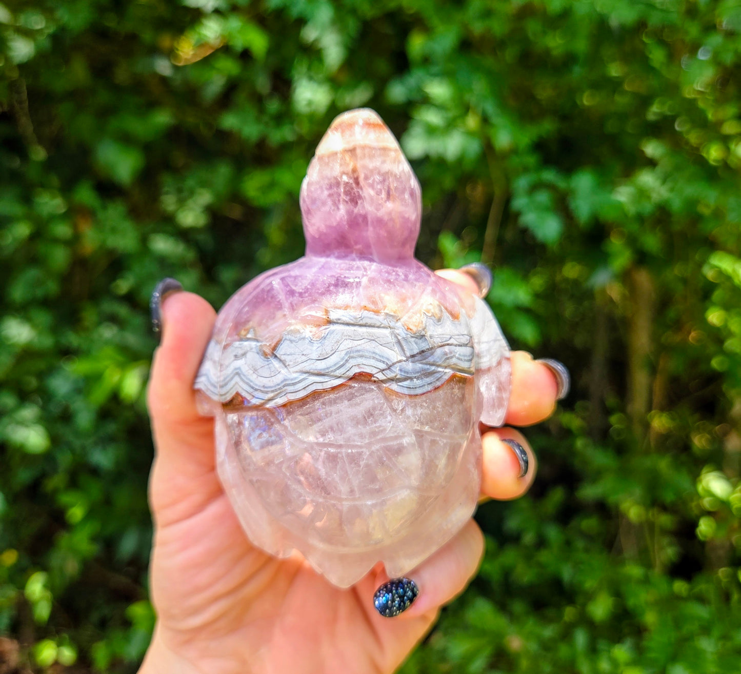 Amethyst Agate Turtle 🐢