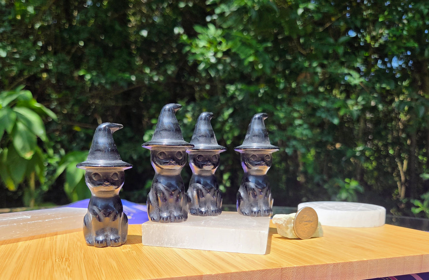 Black Obsidian Witchy Cat ๐โโฌ๏ธ