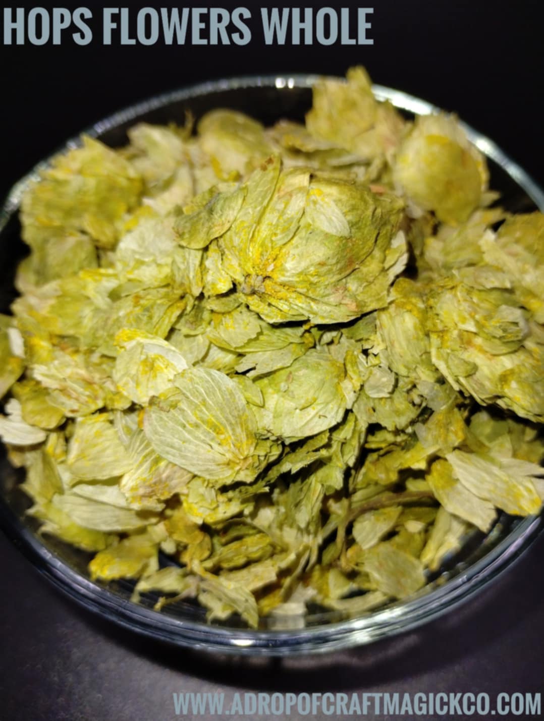 Hops Flowers