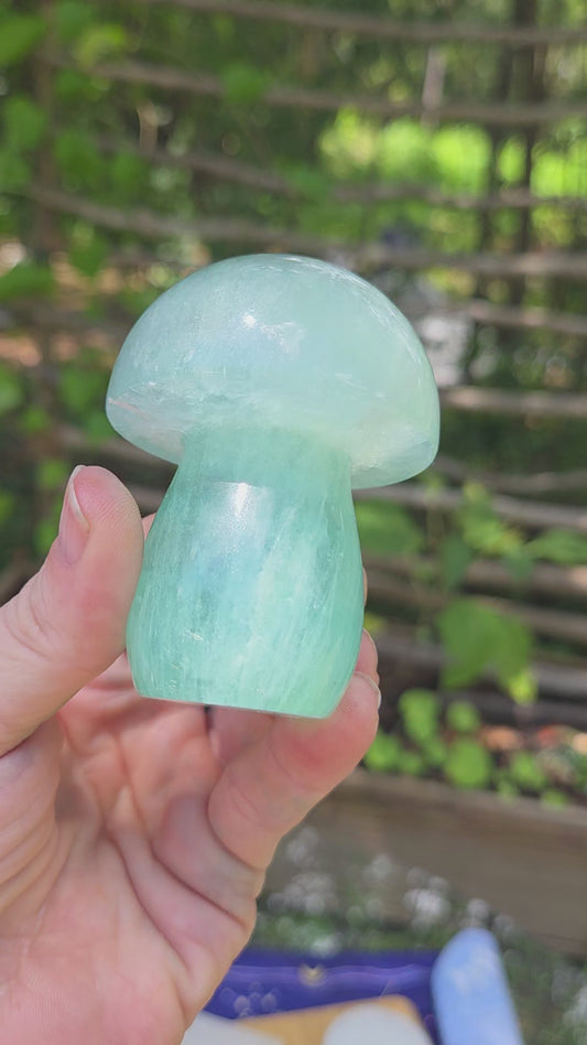 Fluorite Mushroom 🍄