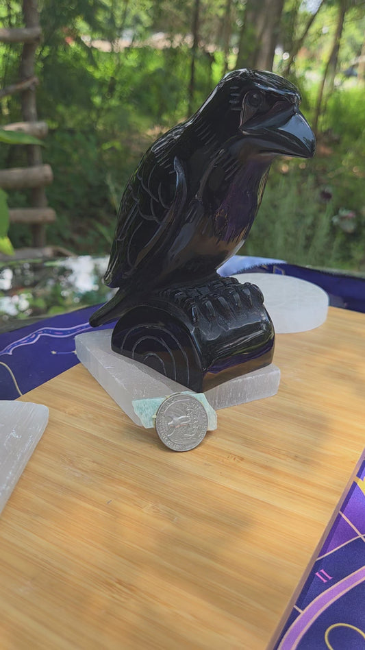 Black Obsidian Raven 🐦‍⬛