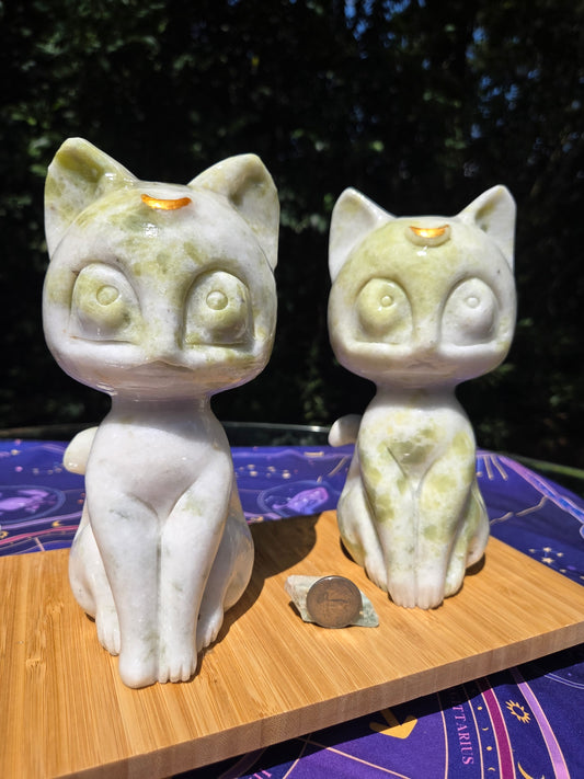 Jade Luna Cat