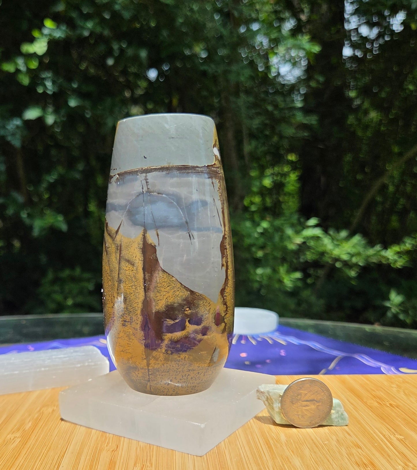 Picture Jasper Vase 🌼