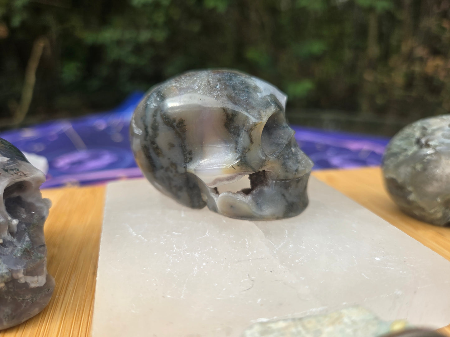 Moss Agate Skulls 💀