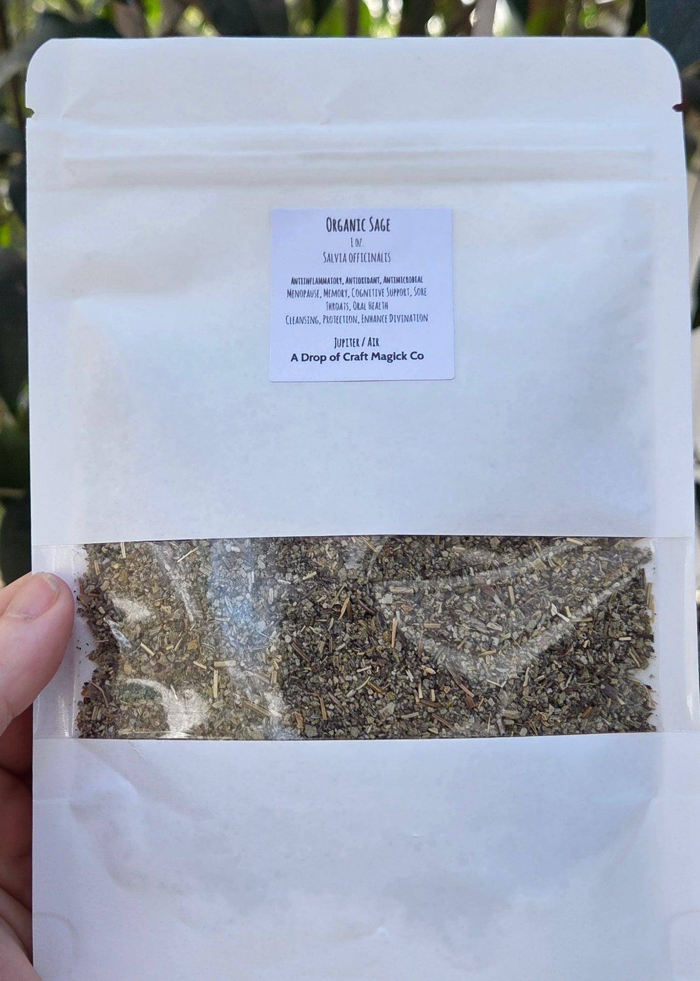 Organic Sage (Garden Sage)