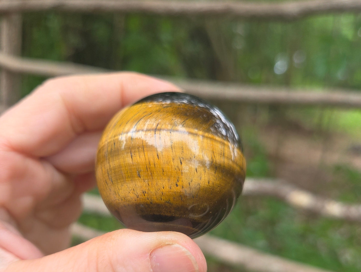 Tigers Eye Sphere - SUPER FLASHY!!!