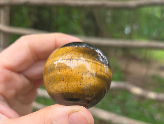 Tigers Eye Sphere - SUPER FLASHY!!!
