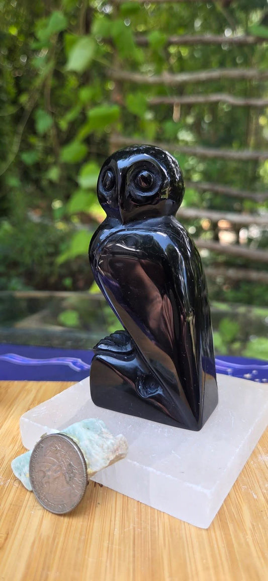 Black Obsidian Owl 🦉