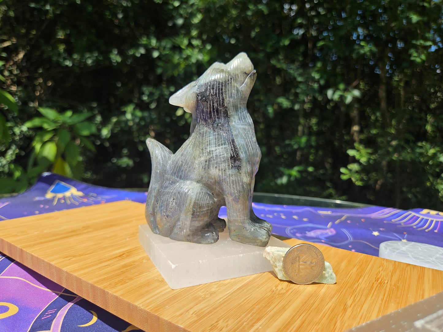 Labradorite Wolf 🐺