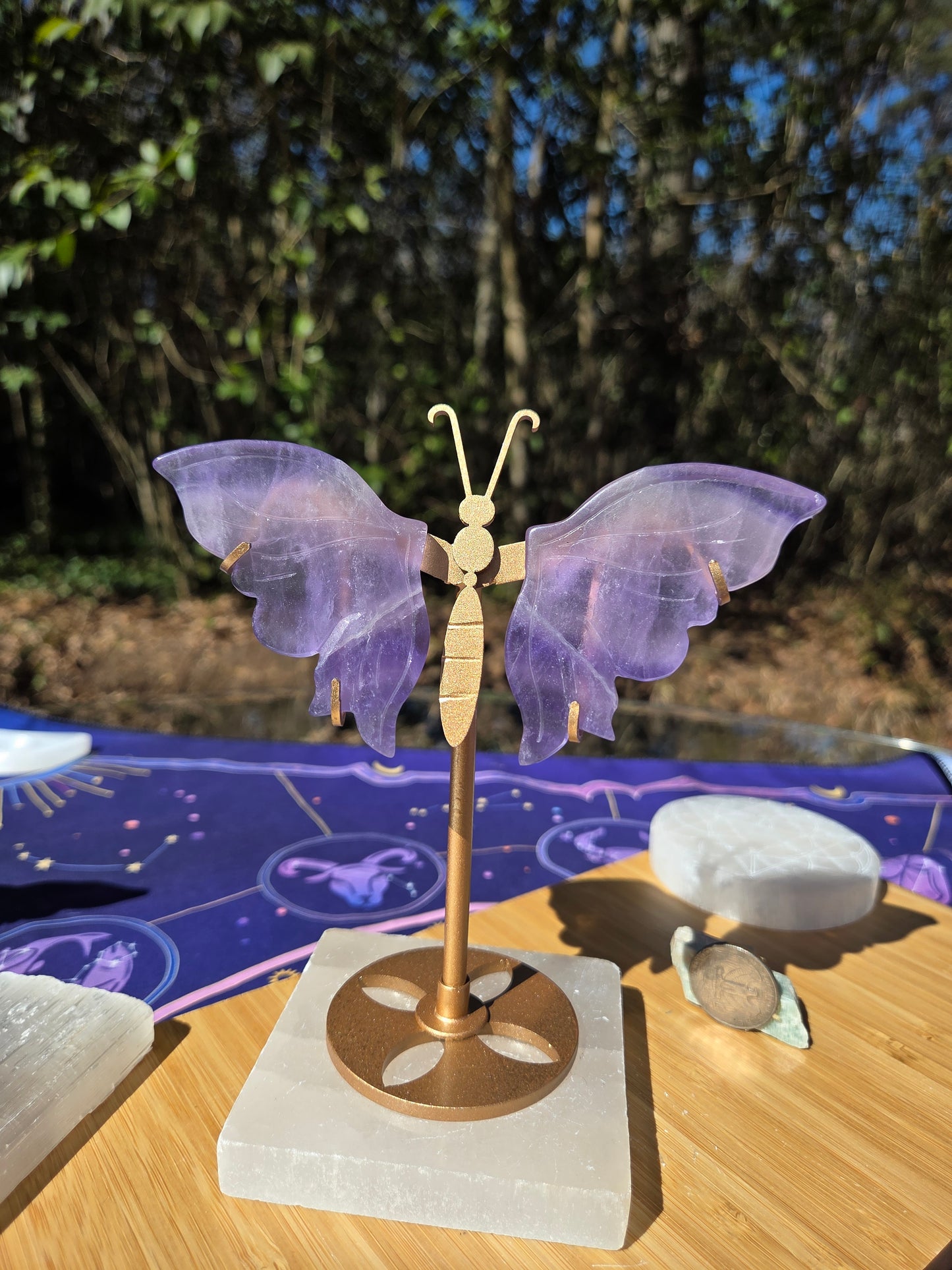 Purple Fluorite Butterfly