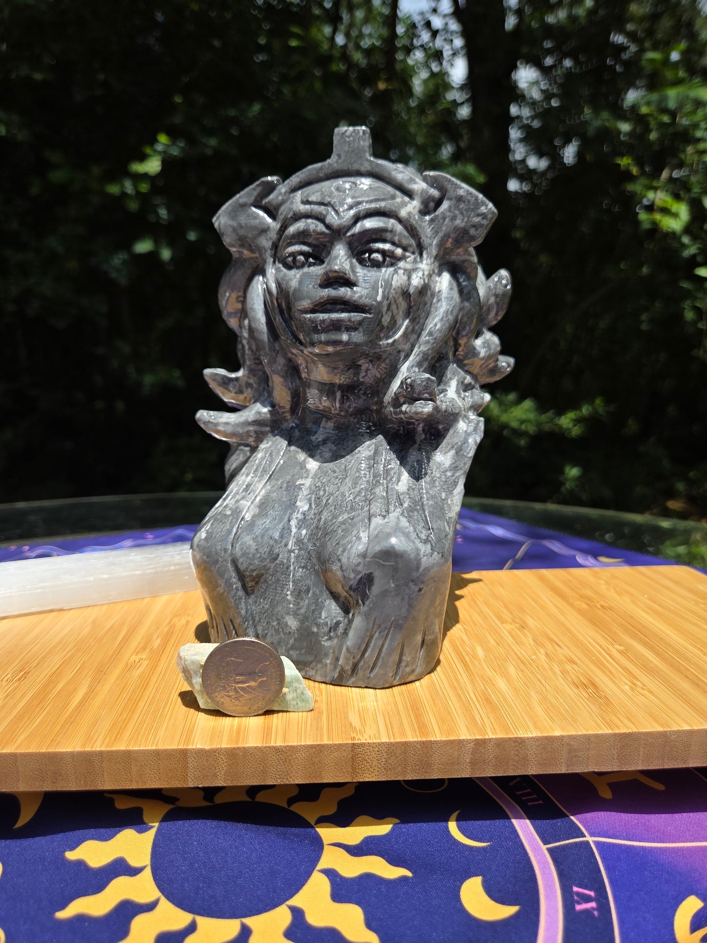 Picasso Jasper Medusa