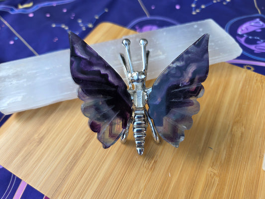 Rainbow 🌈 Flourite Butterfly 🦋