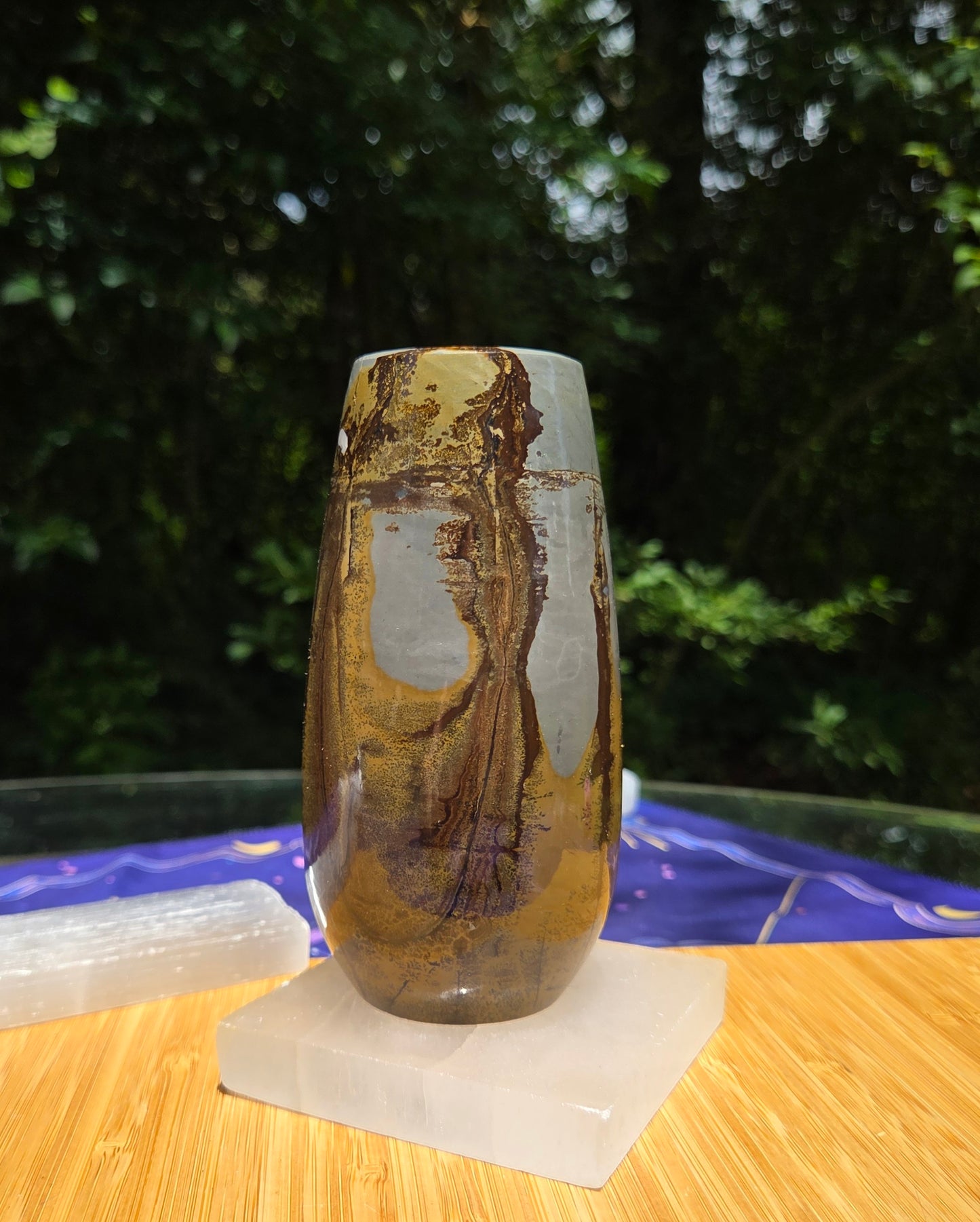 Picture Jasper Vase 🌼