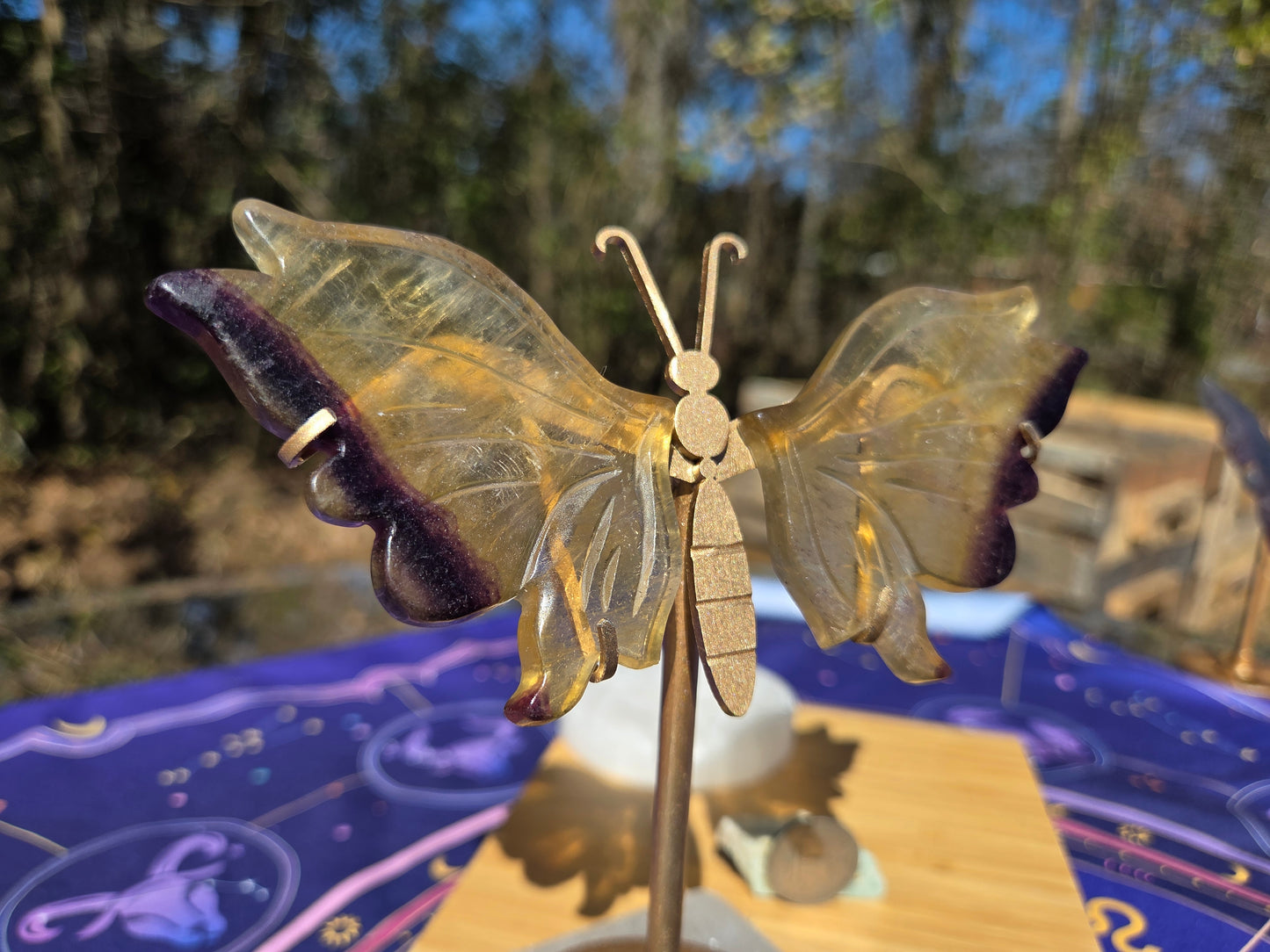 Purple & Yellow Fluorite Butterfly
