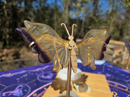 Purple & Yellow Fluorite Butterfly