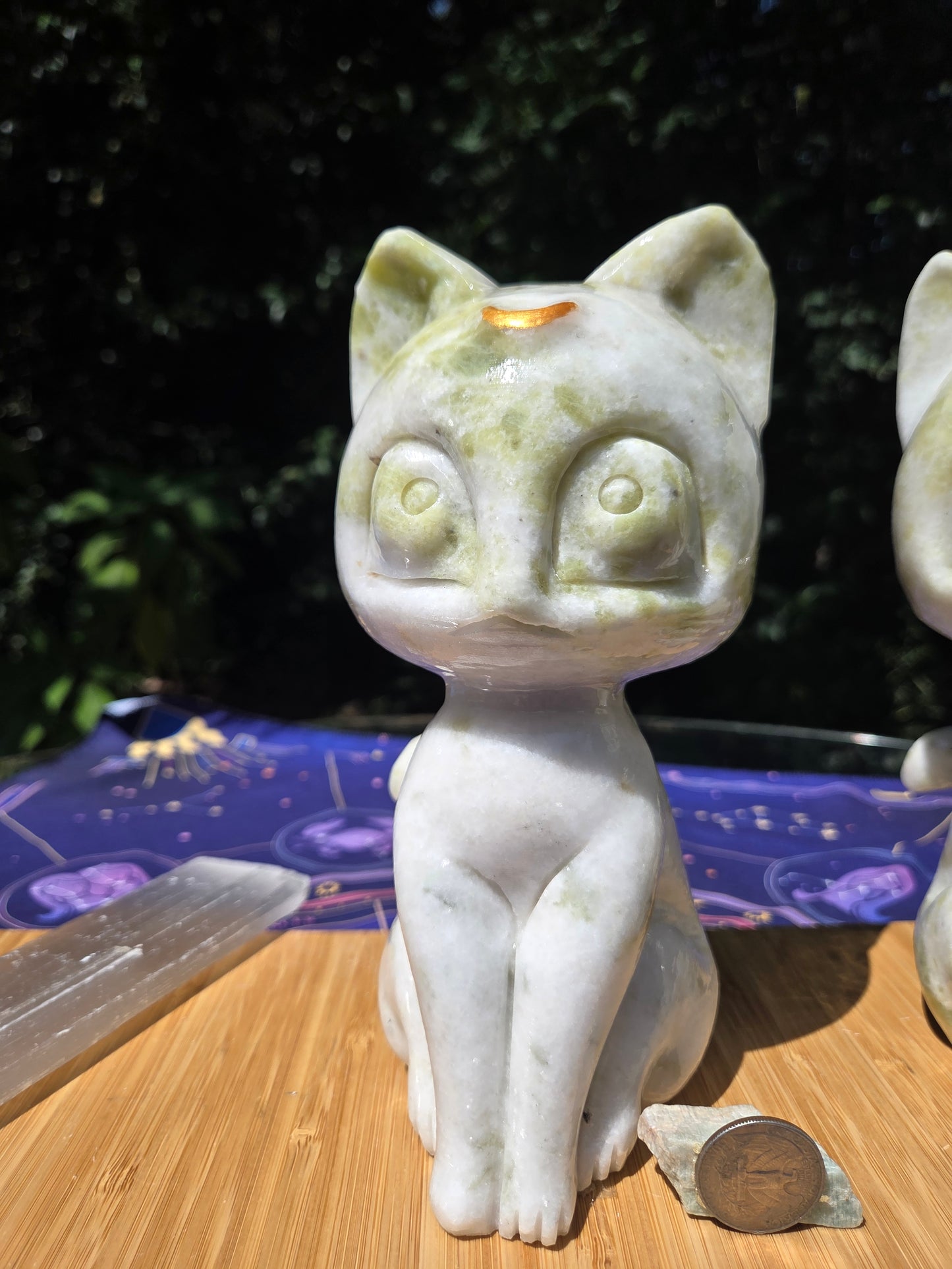 Jade Luna Cat