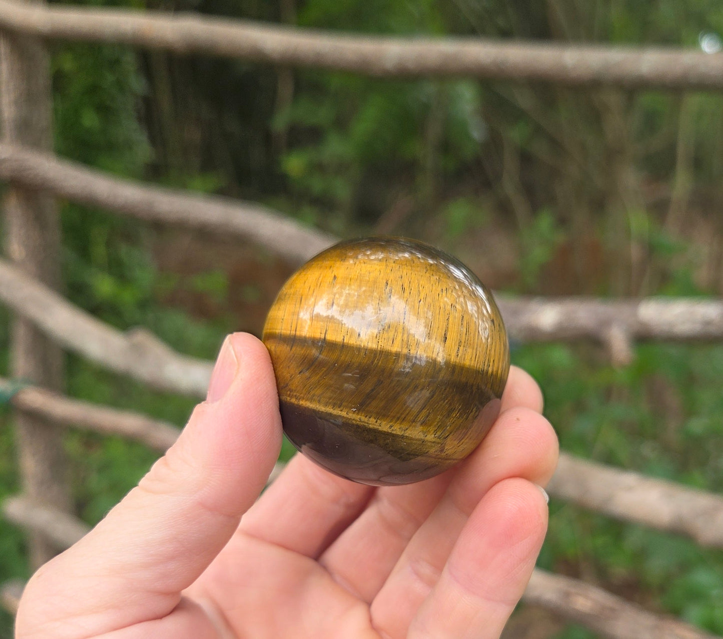 Tigers Eye Sphere - SUPER FLASHY!!!