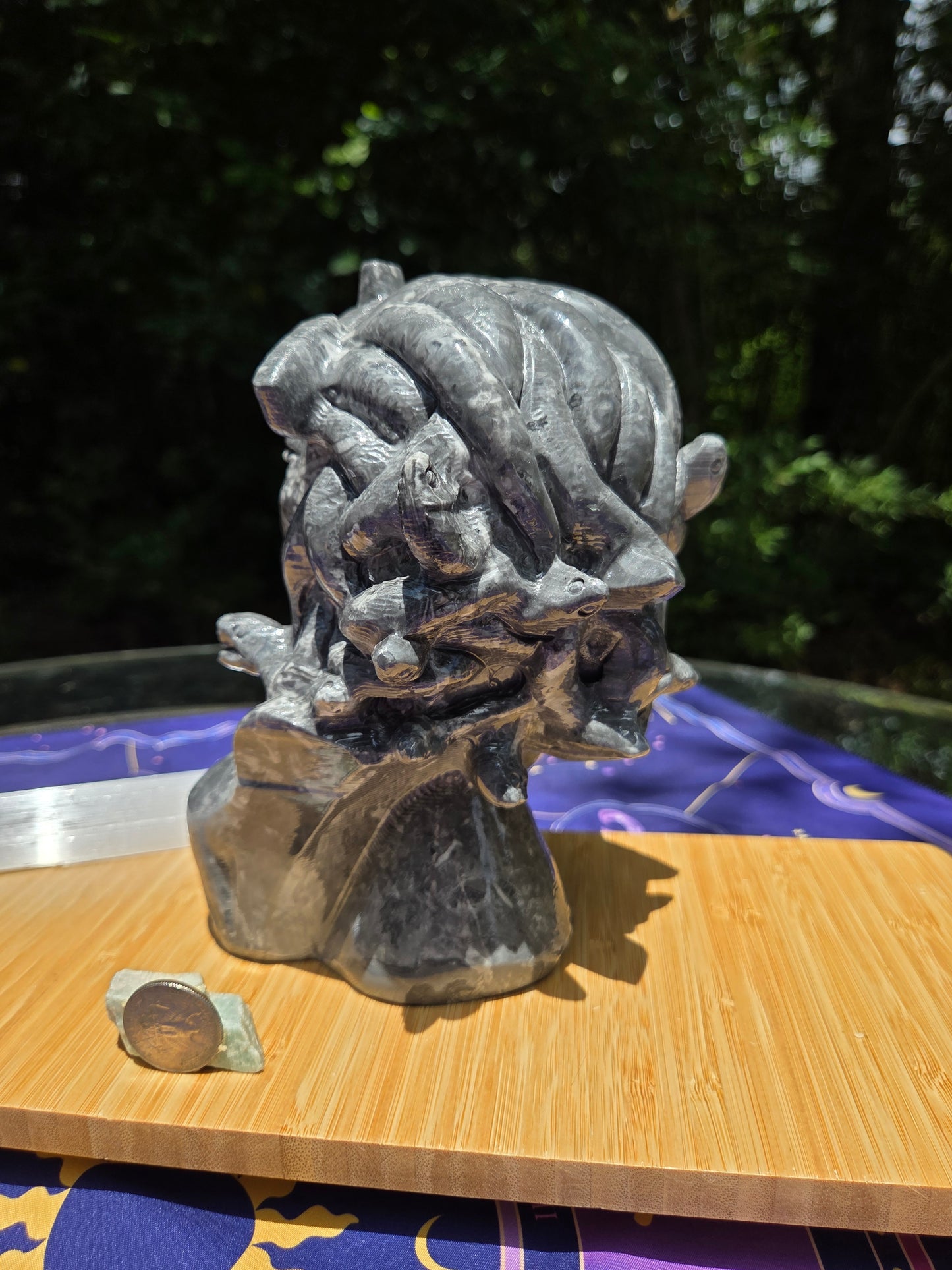 Picasso Jasper Medusa
