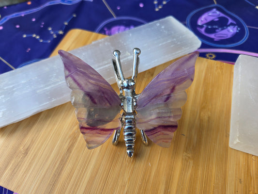 Rainbow 🌈 Flourite Butterfly