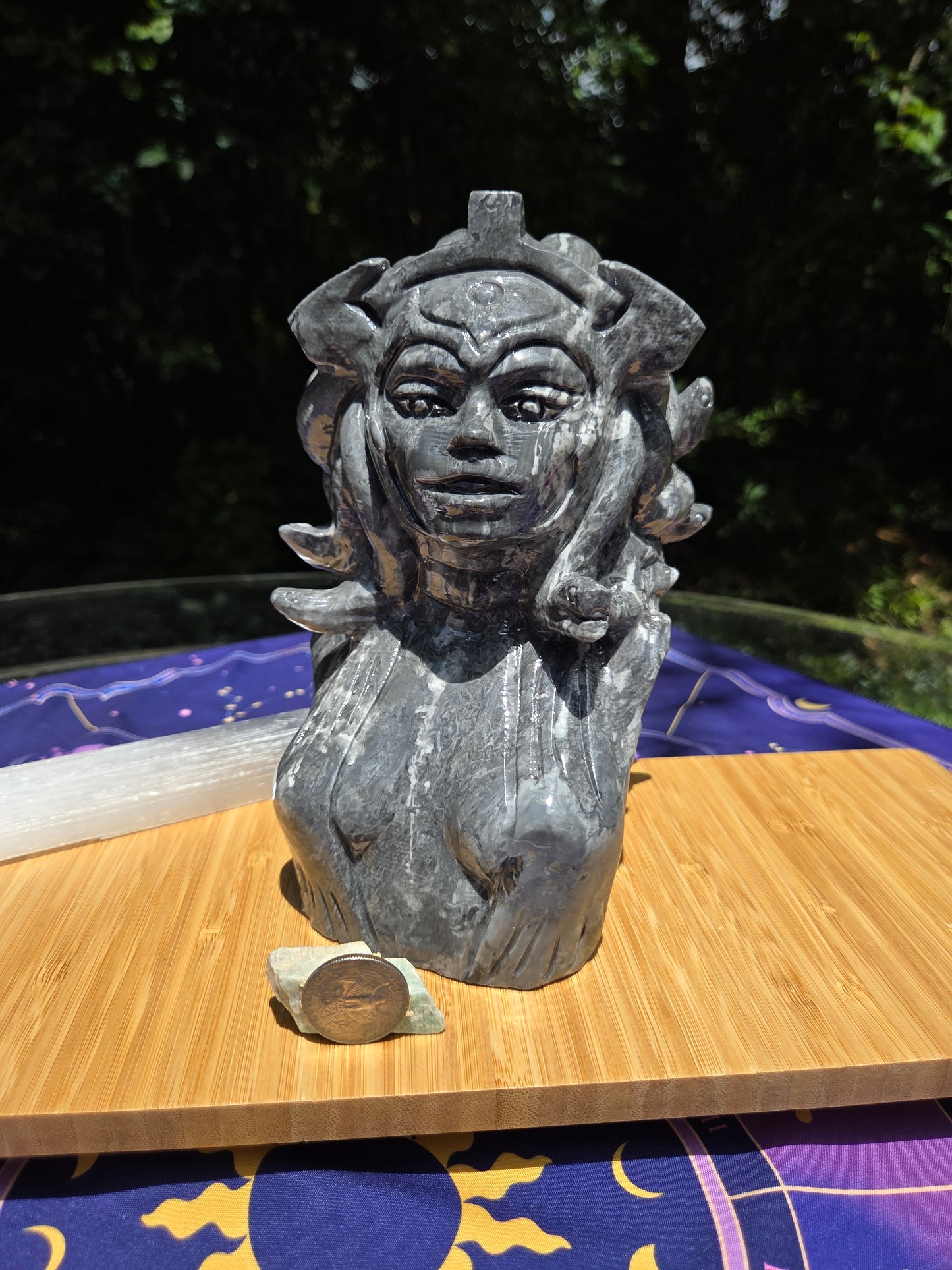 Picasso Jasper Medusa