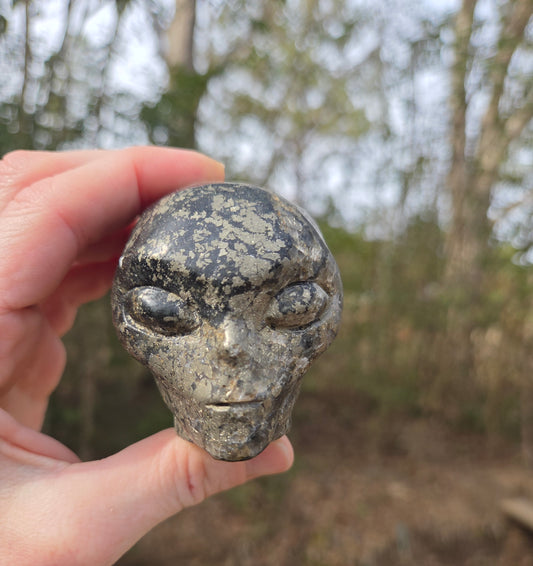 Pyrite Alien 👽 Skull