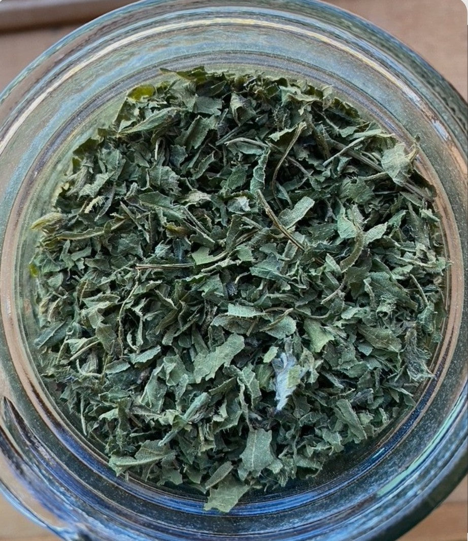 Organic Stinging Nettle