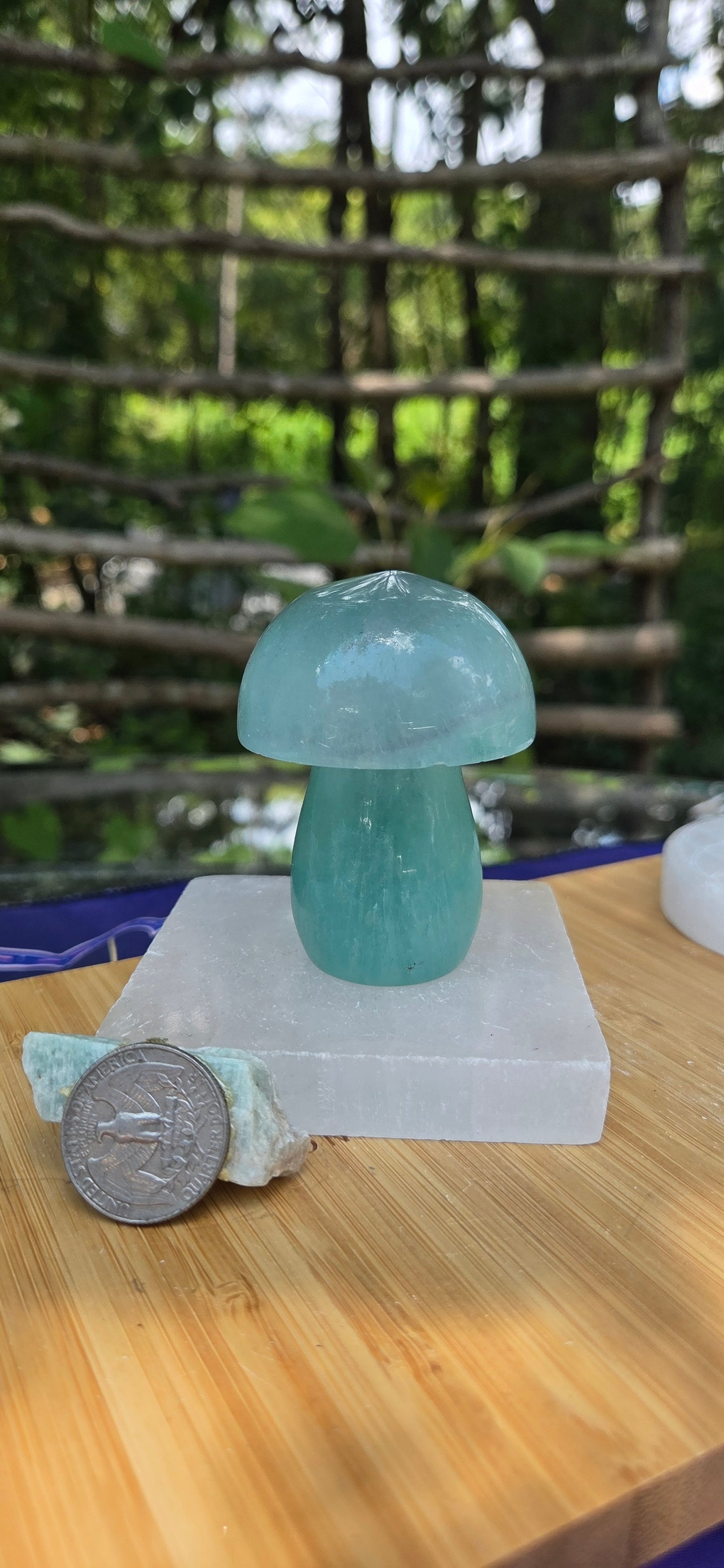 Fluorite Mushroom 🍄