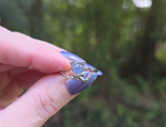 Labradorite Kitty 😺 Ring