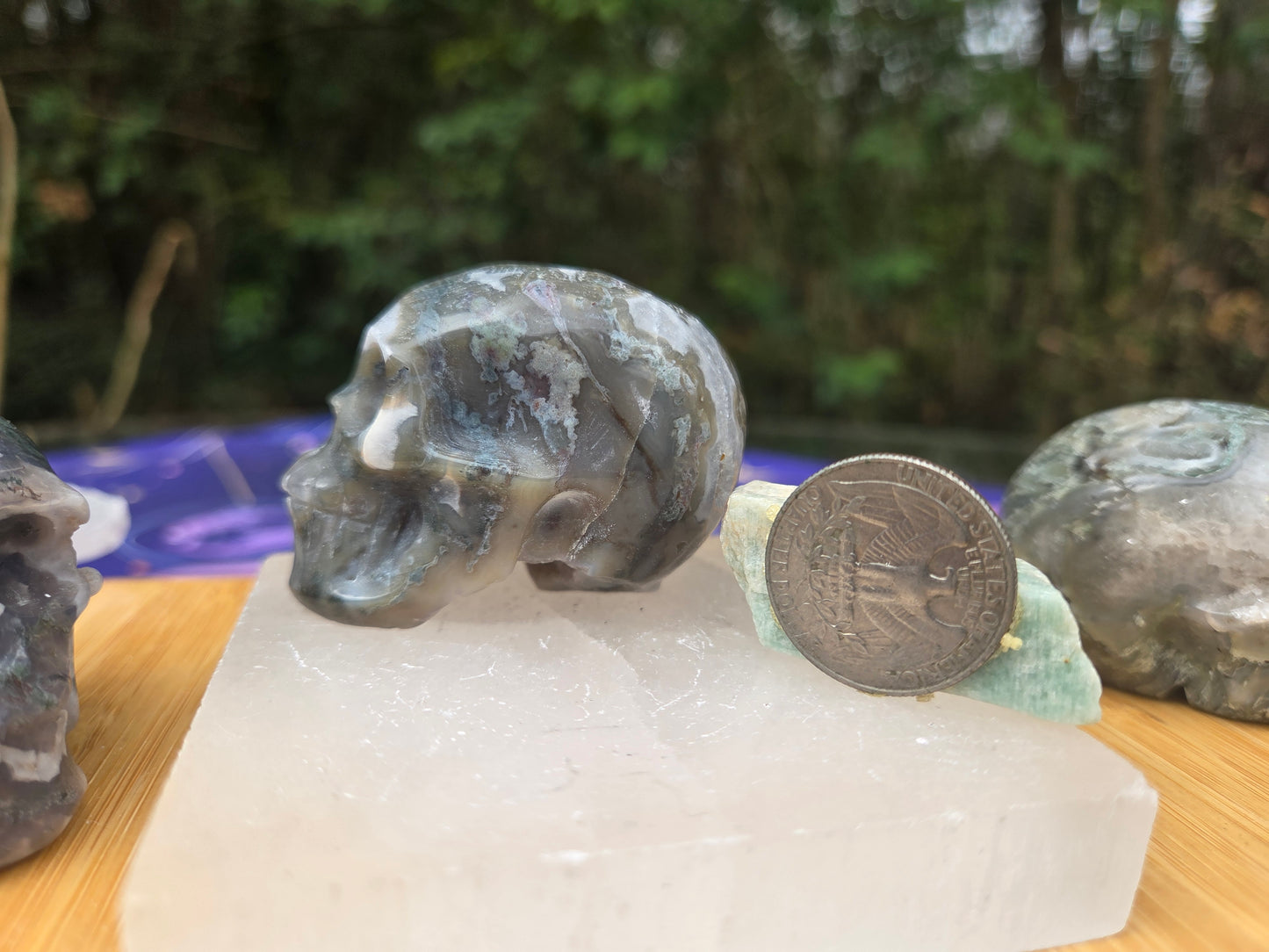 Moss Agate Skulls 💀