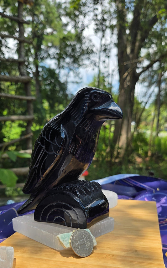 Black Obsidian Raven 🐦‍⬛