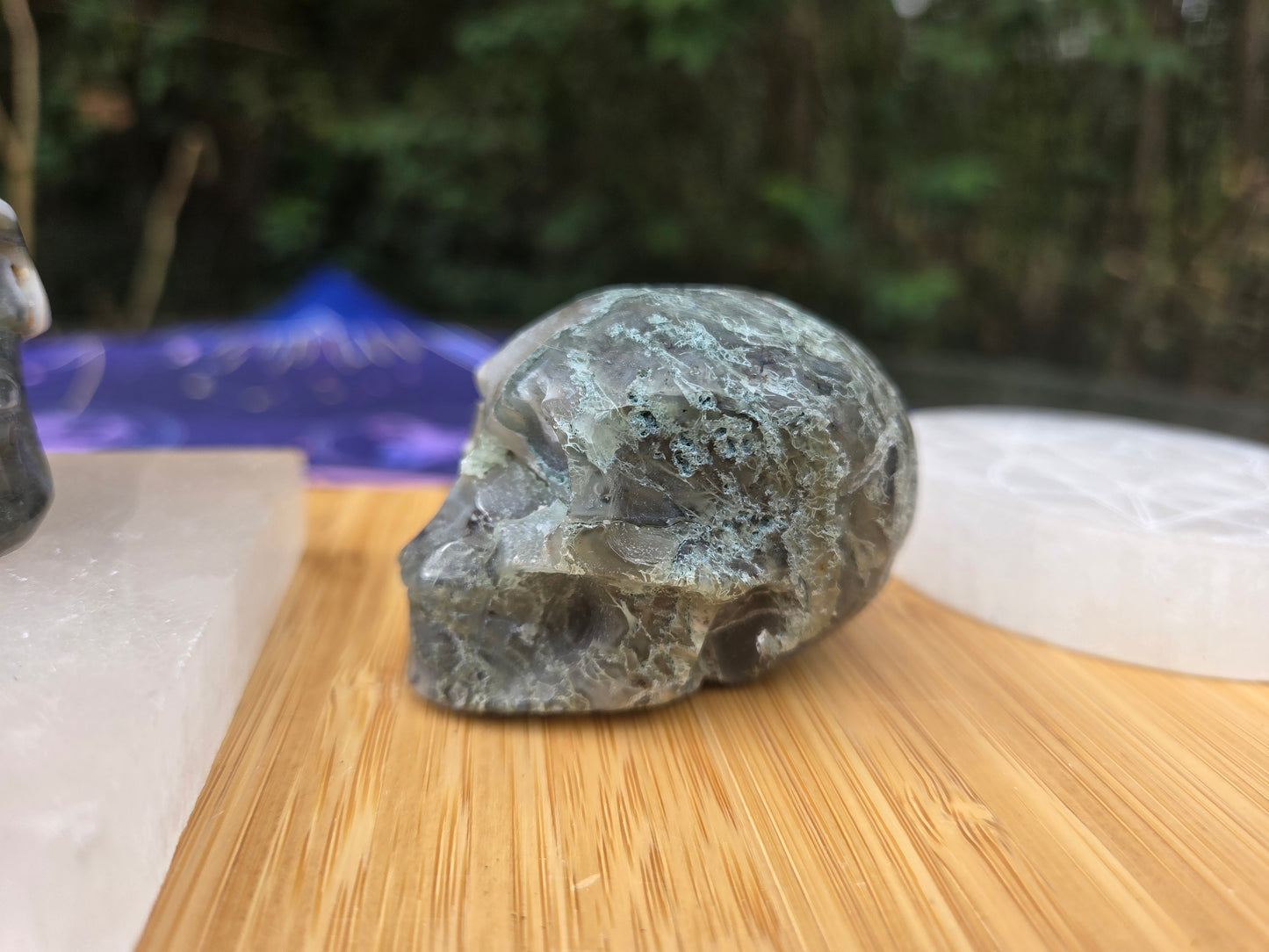 Moss Agate Skulls 💀