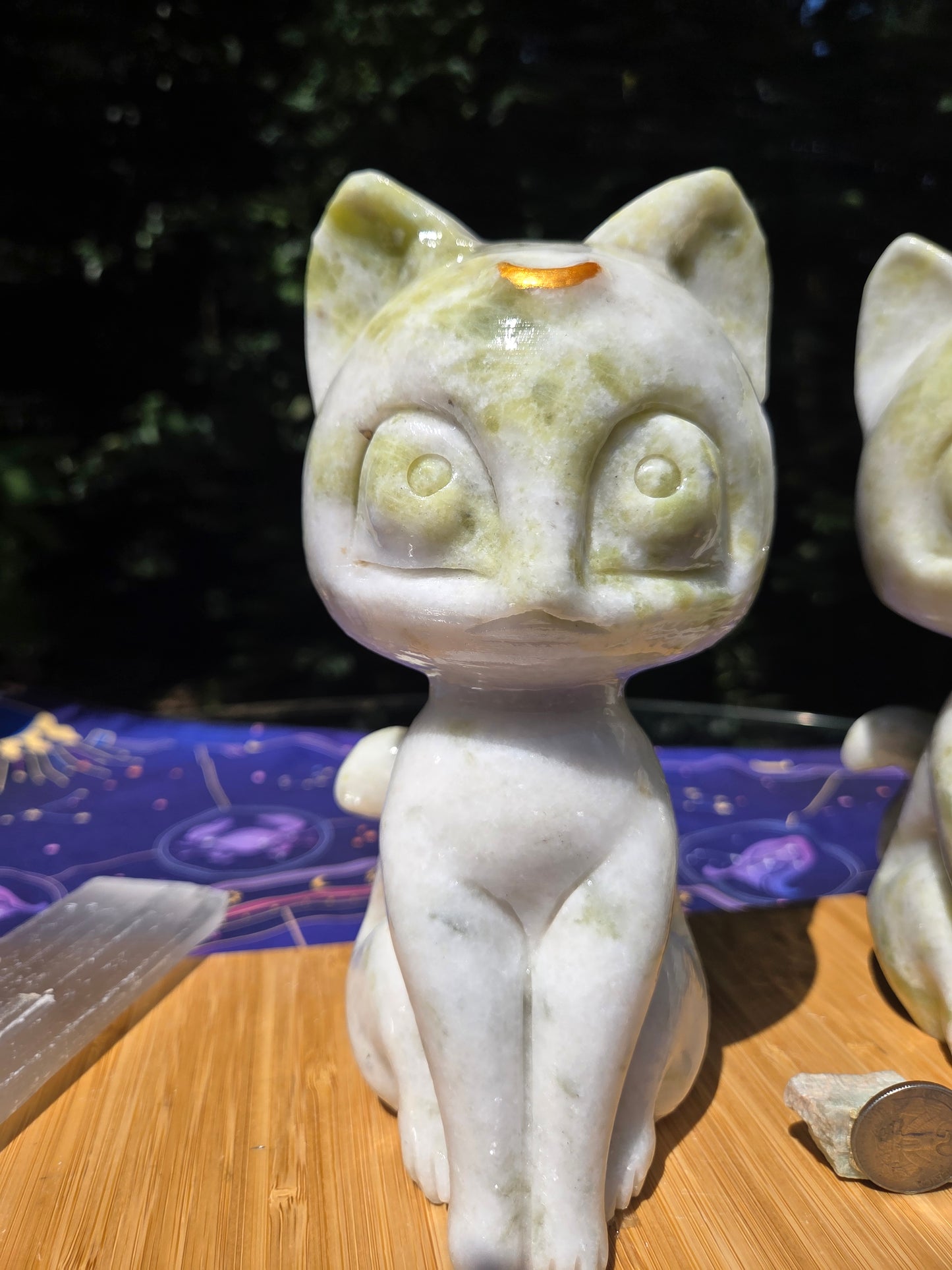 Jade Luna Cat
