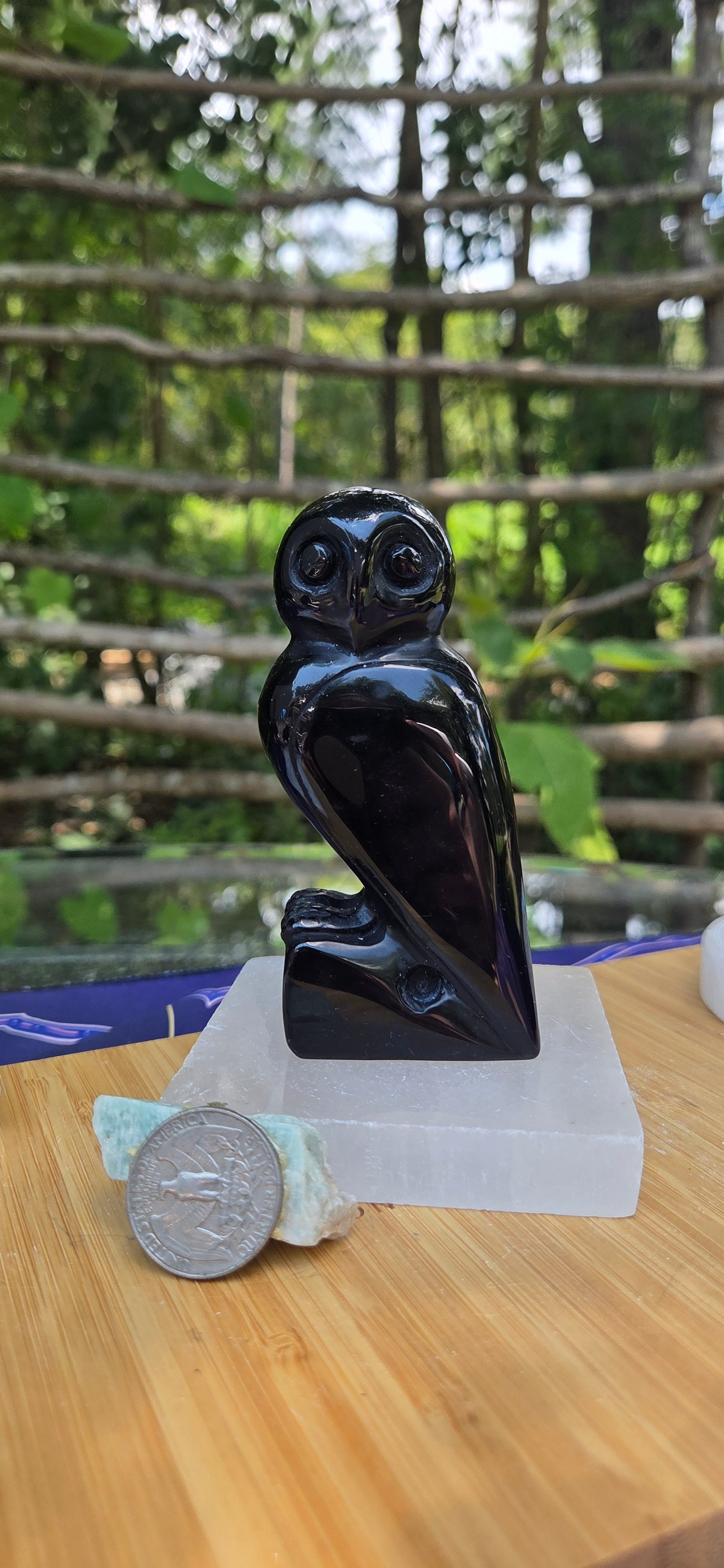Black Obsidian Owl 🦉