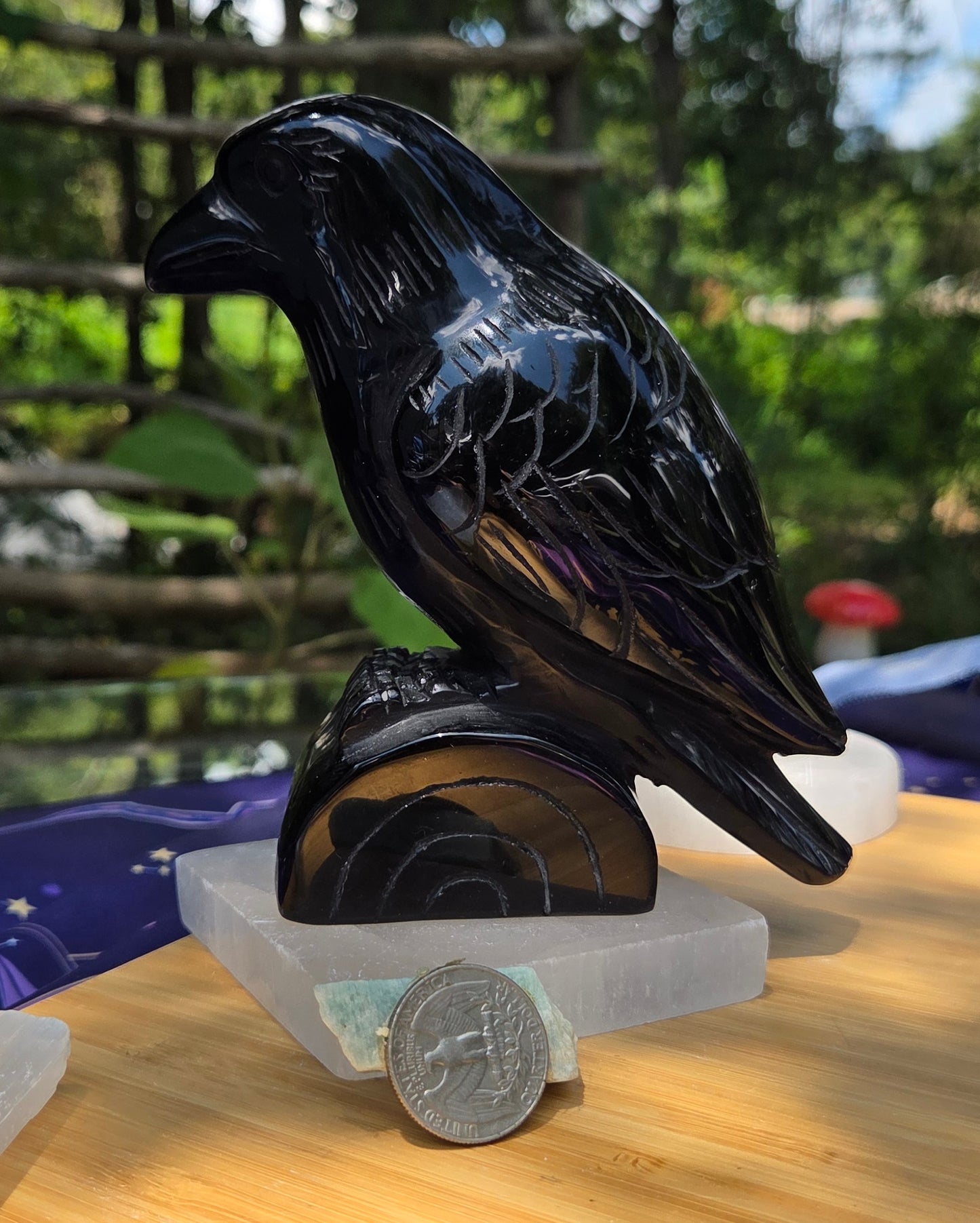 Black Obsidian Raven 🐦‍⬛