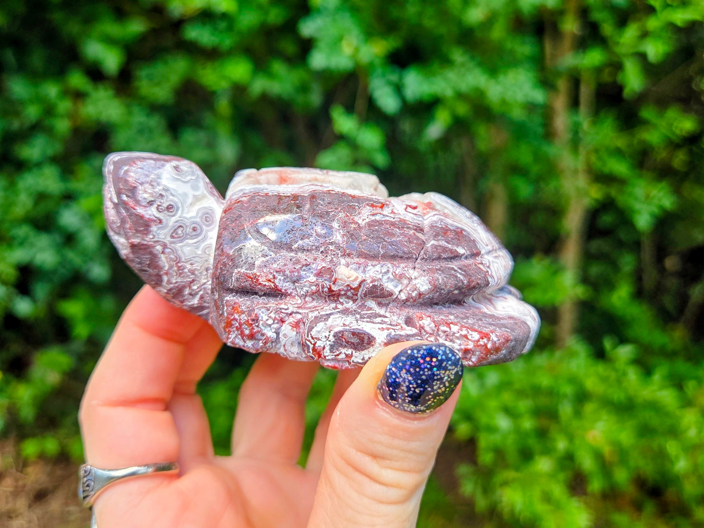 Druzy Mexican Agate Turtle 🐢