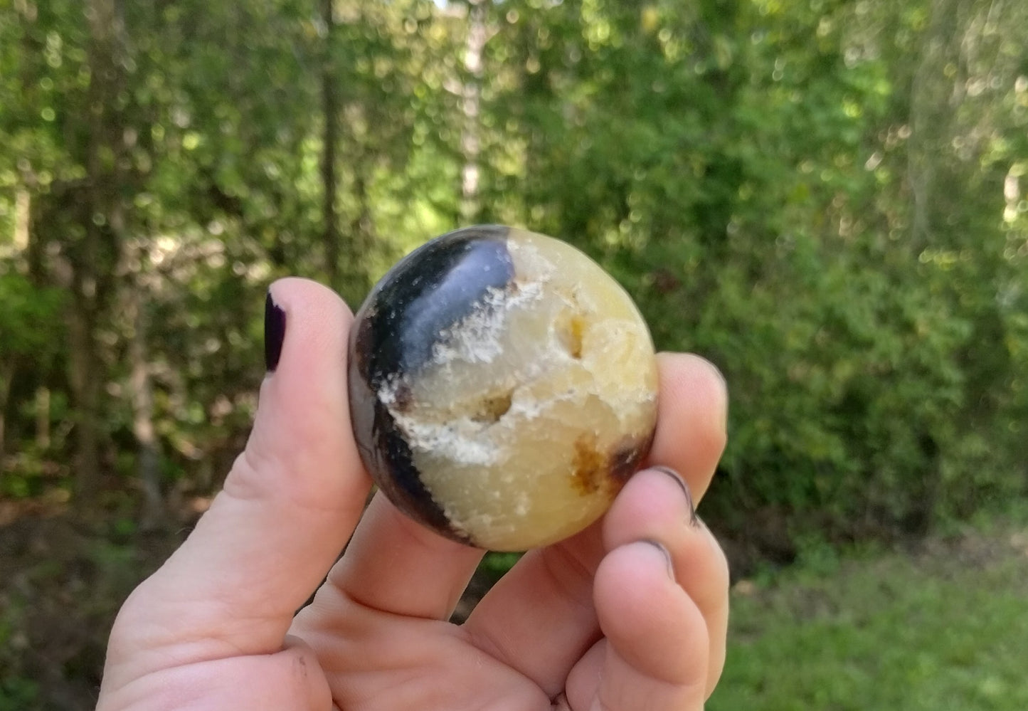 Septarian Palm Stone