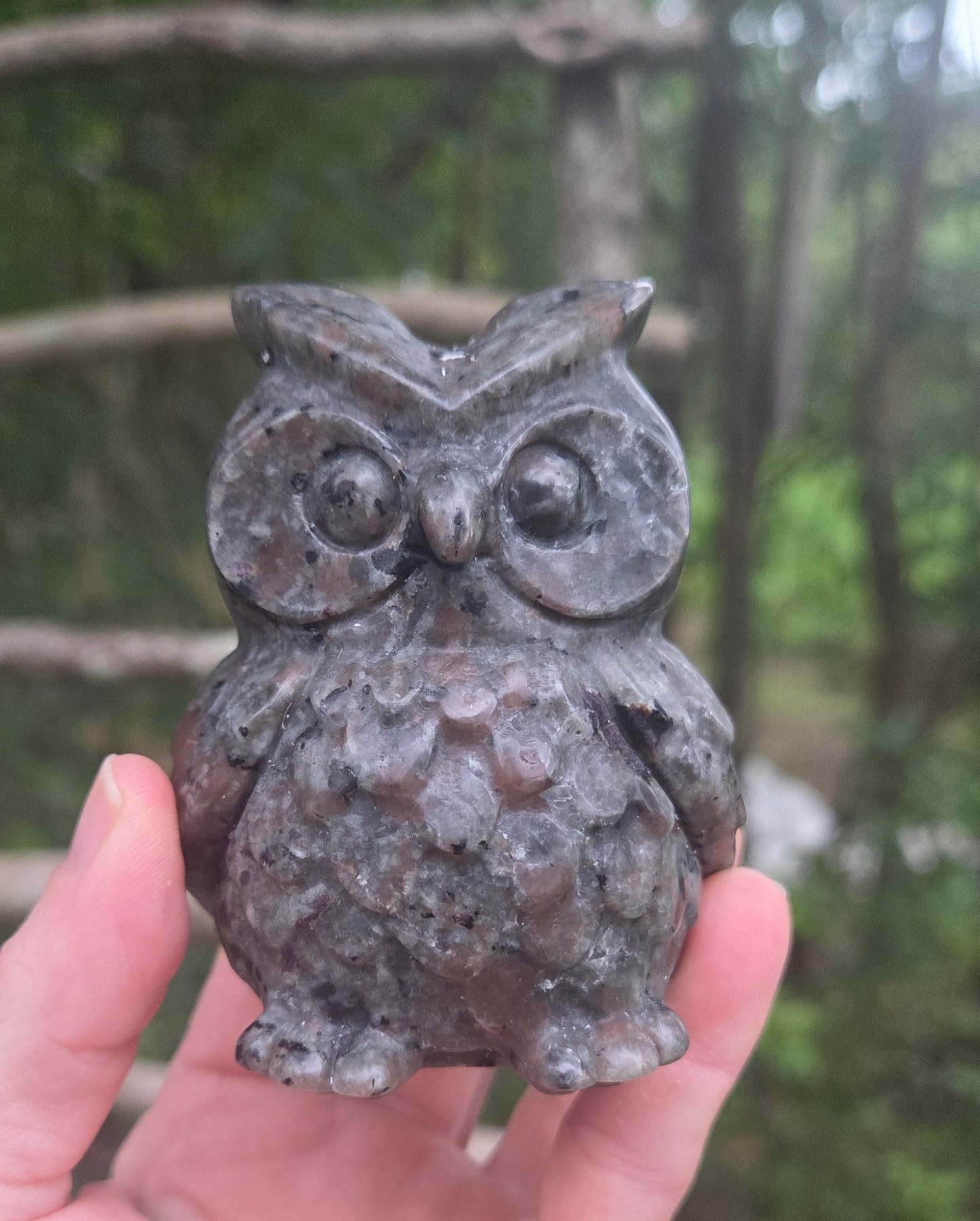 Yooperlite Owl 🦉