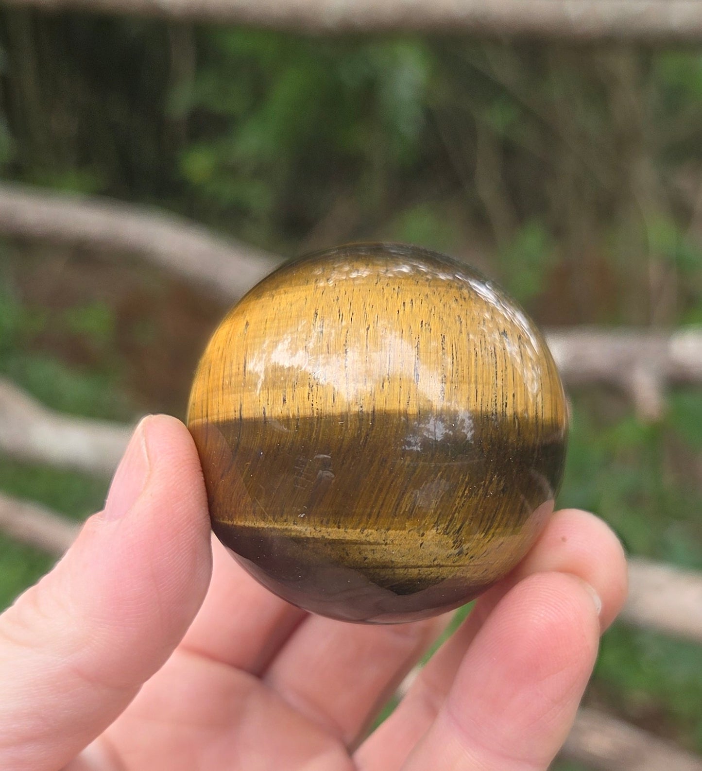 Tigers Eye Sphere - SUPER FLASHY!!!