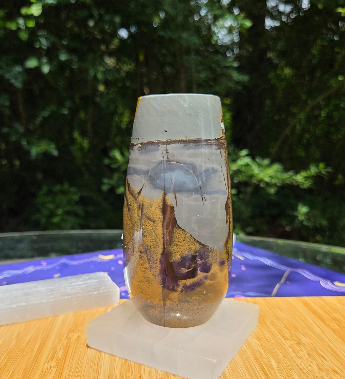 Picture Jasper Vase 🌼