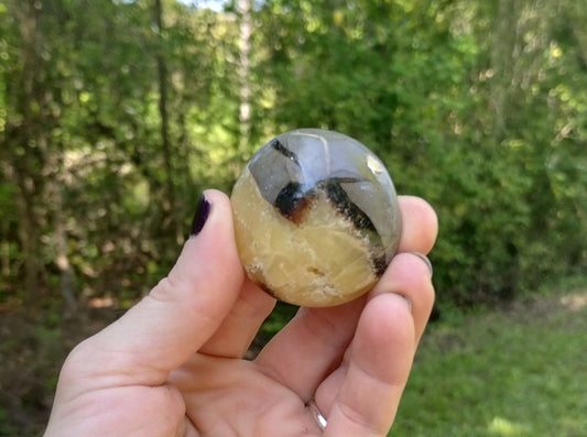 Septarian Palm Stone