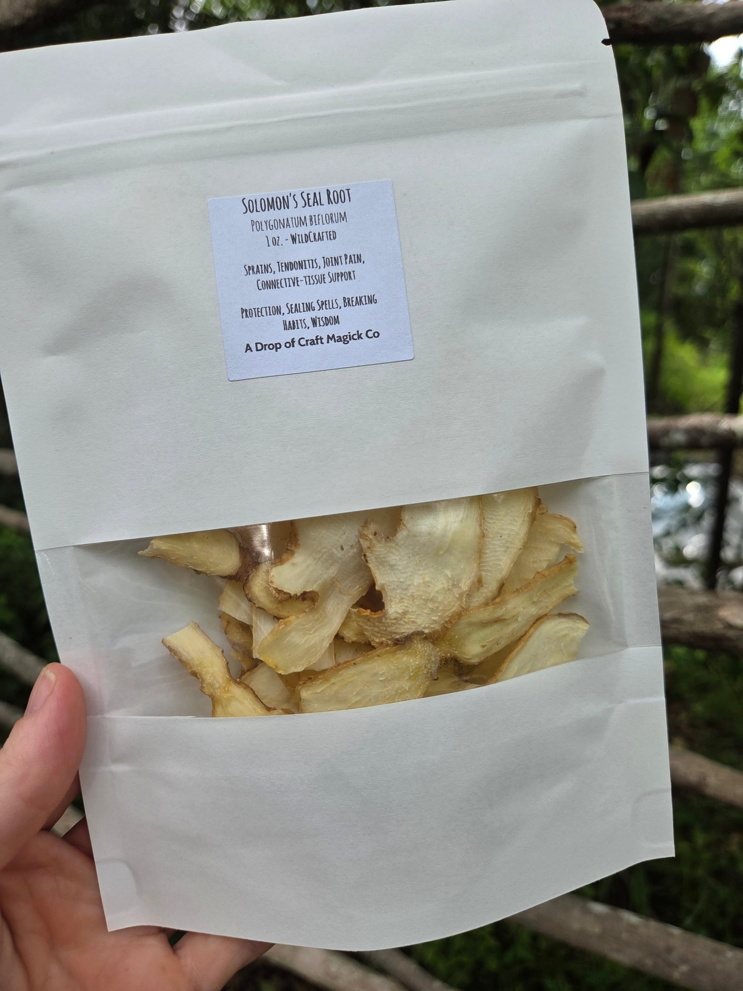 Solomon’s Seal Root