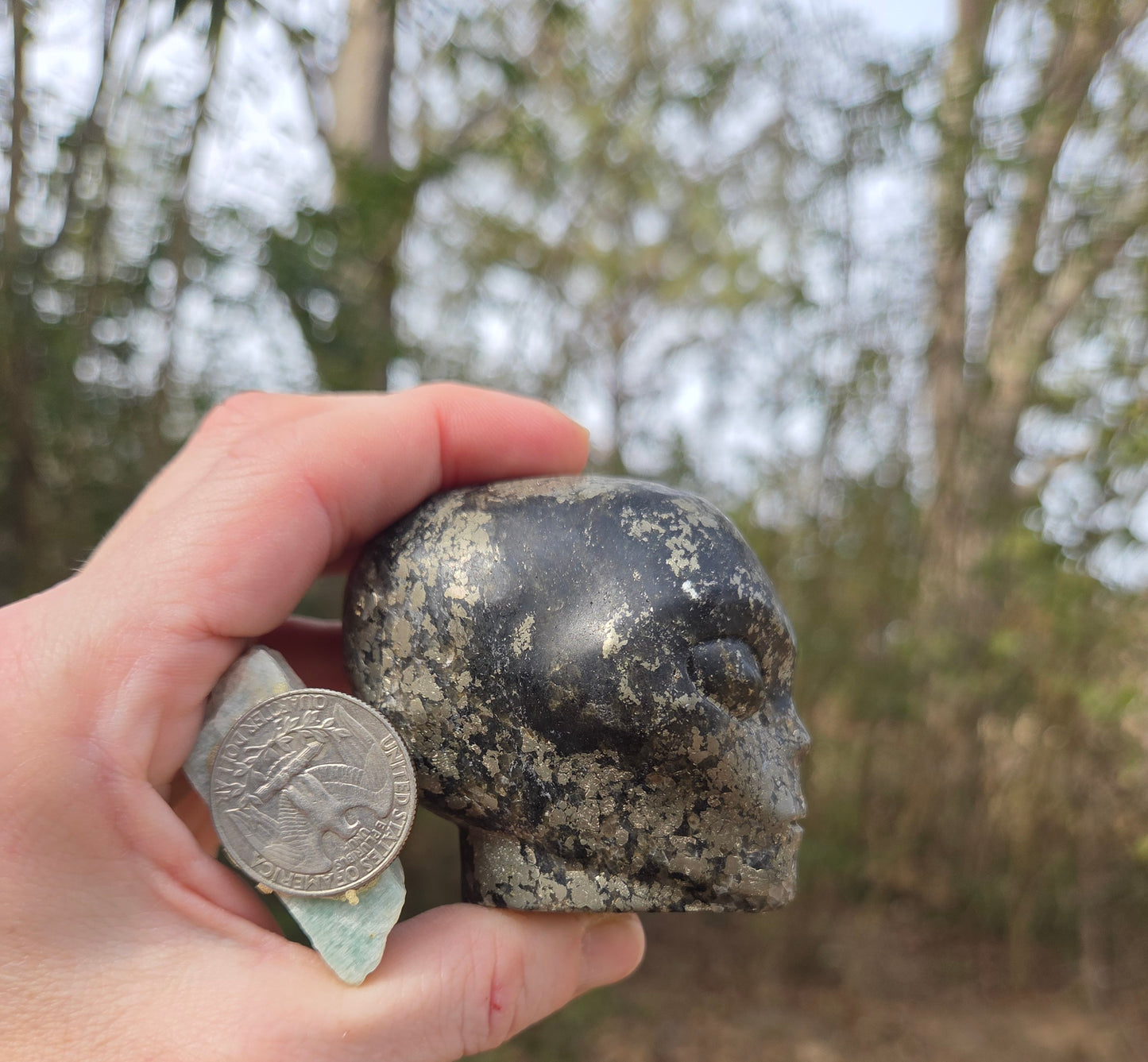 Pyrite Alien 👽 Skull