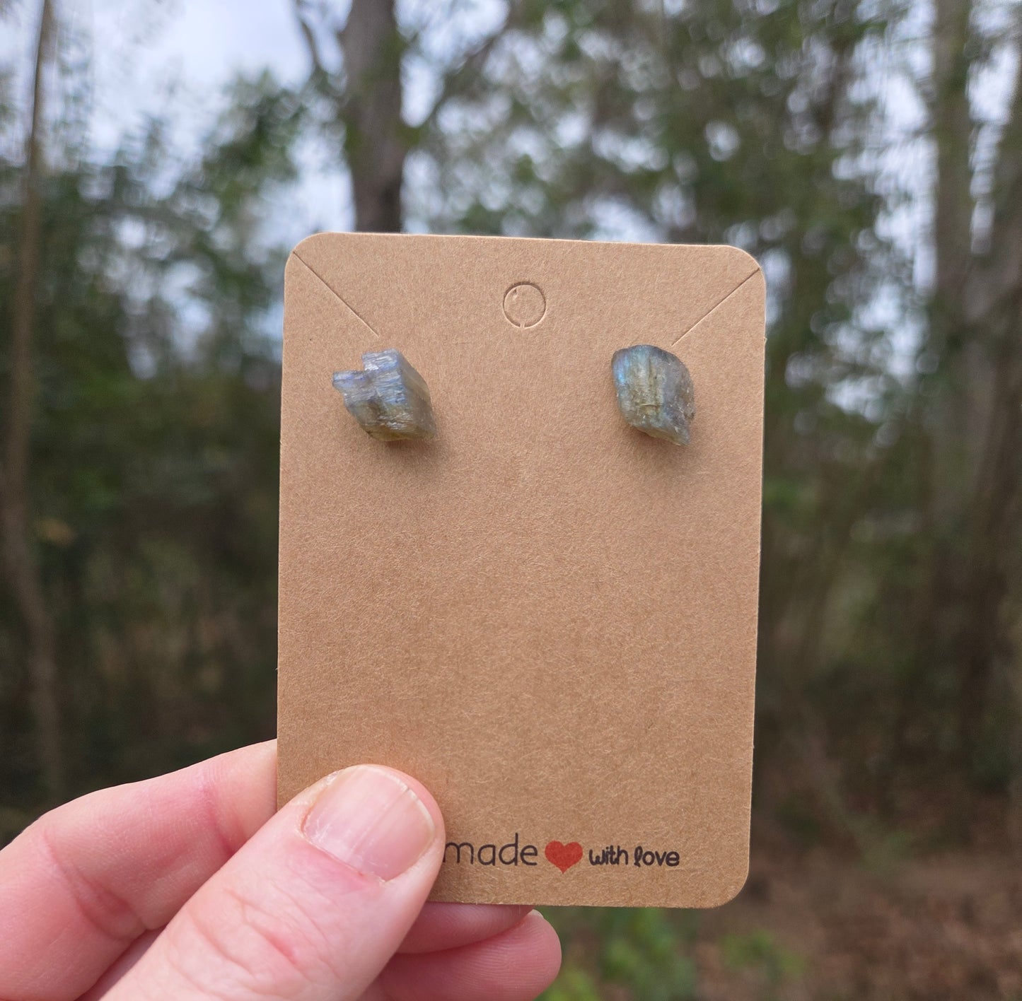 Labradorite Earrings