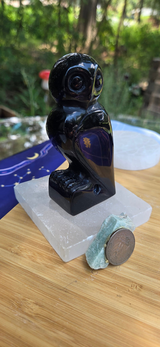 Black Obsidian Owl 🦉