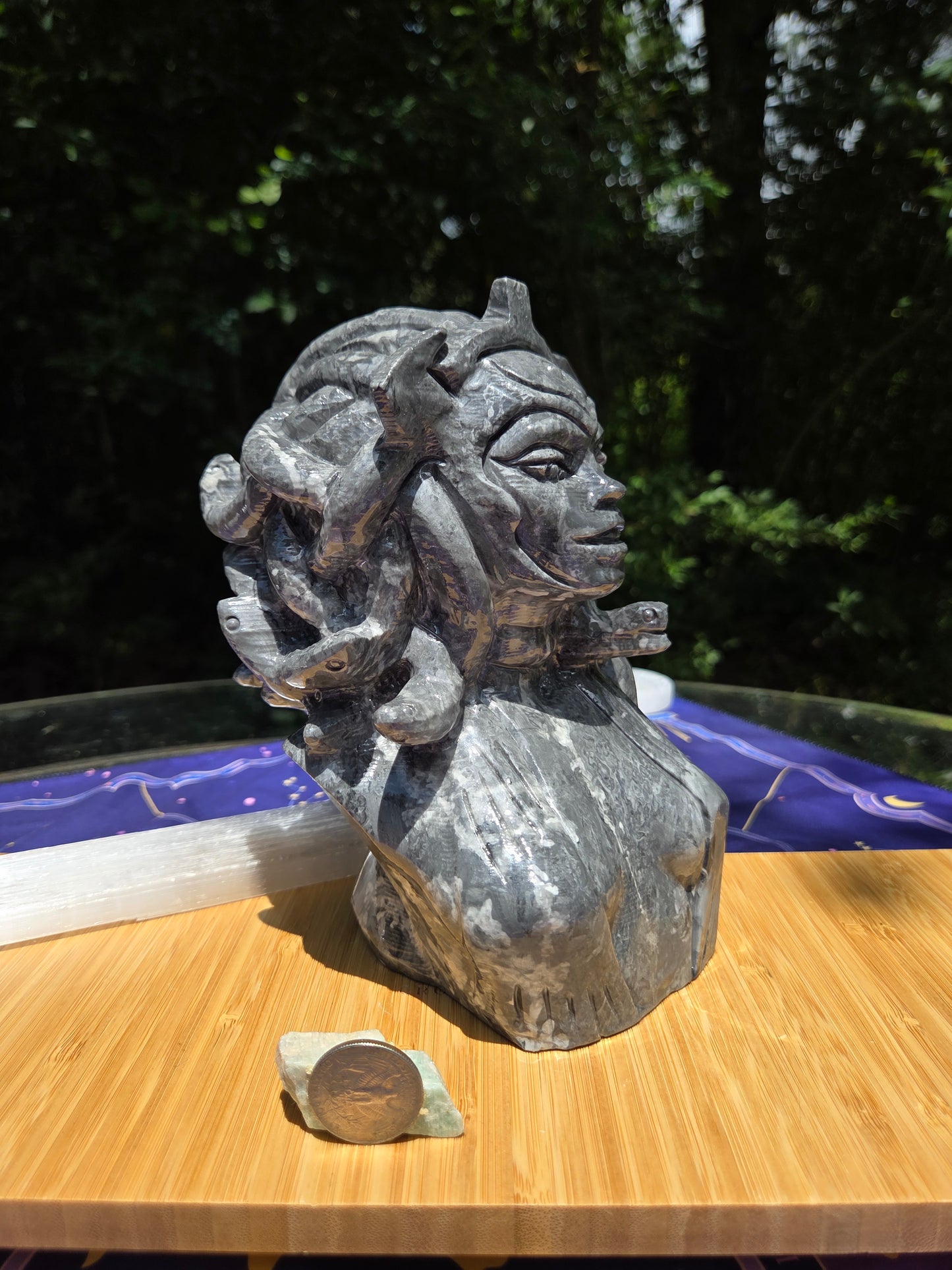 Picasso Jasper Medusa