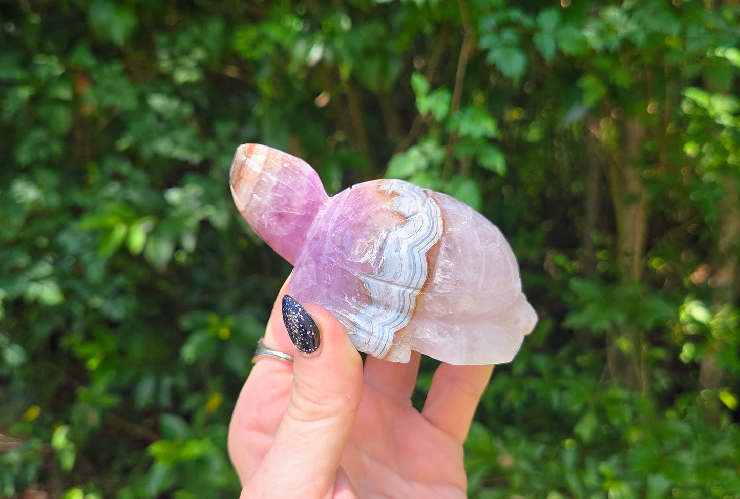 Amethyst Agate Turtle 🐢
