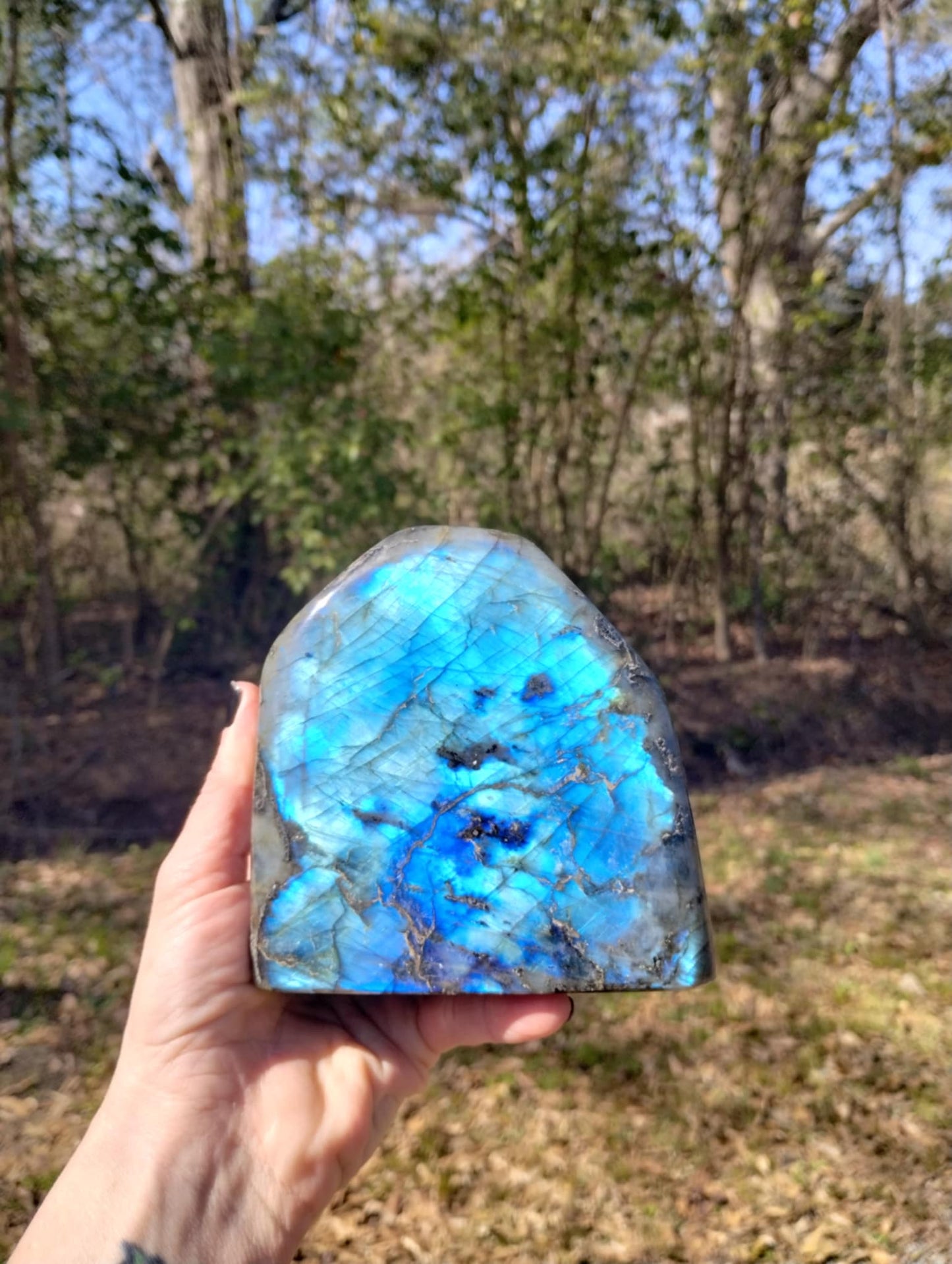 Labradorite Freeform