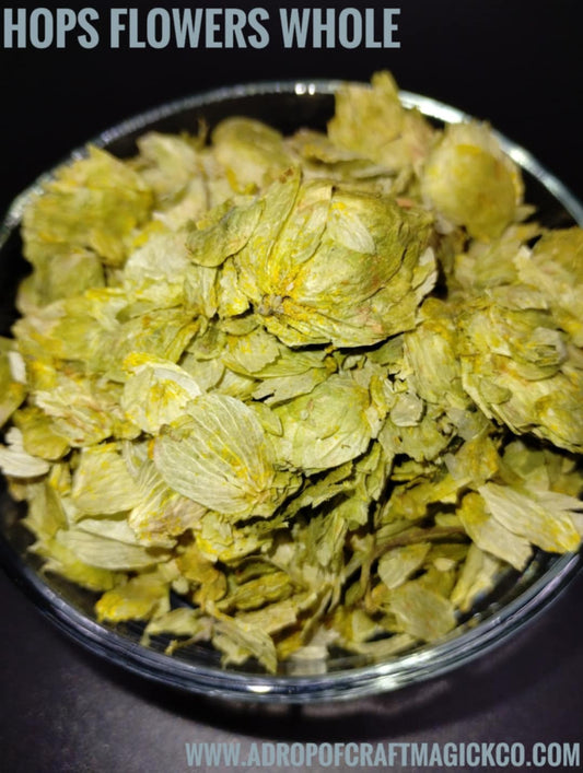 Hops Flowers