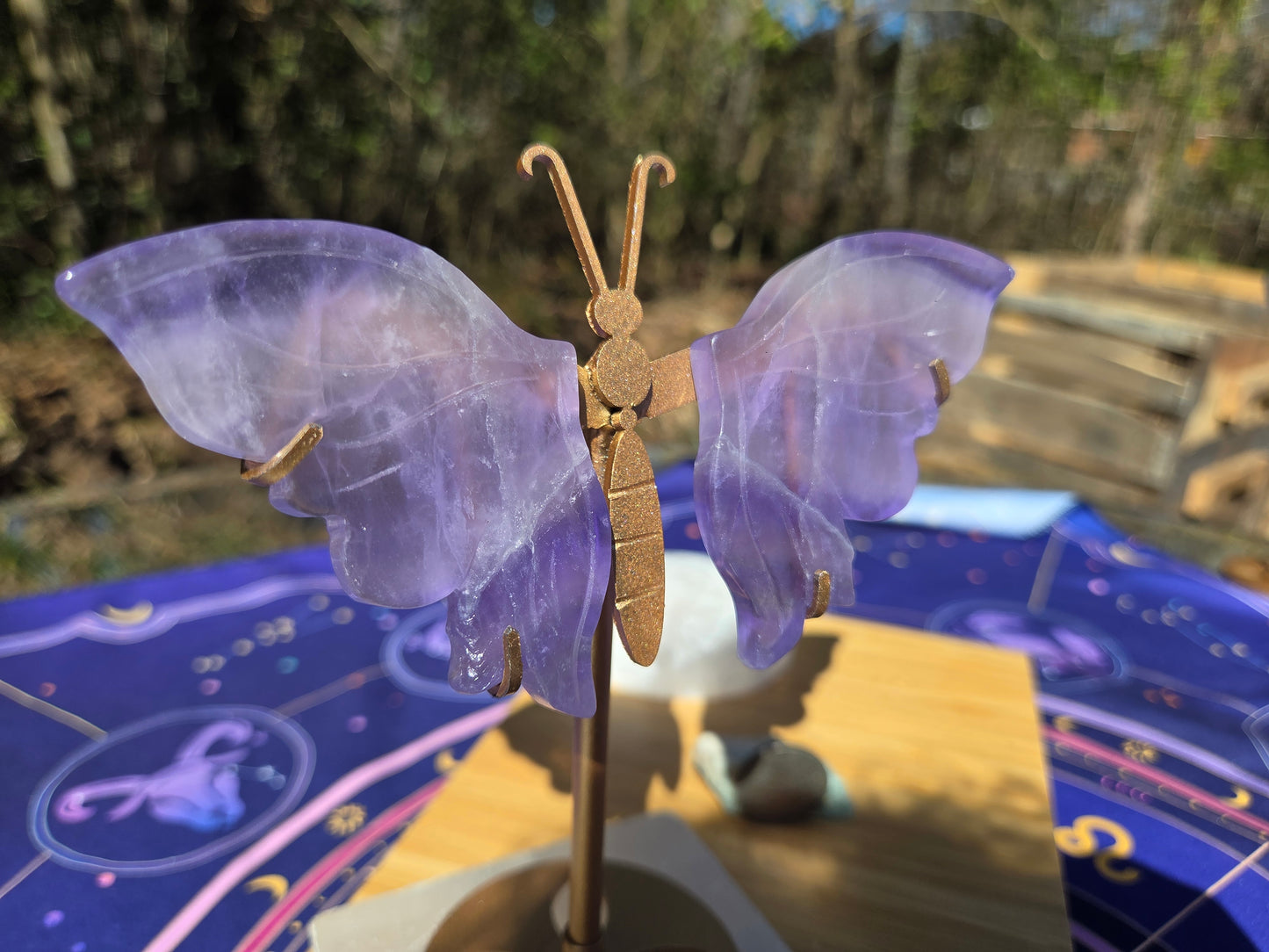 Purple Fluorite Butterfly