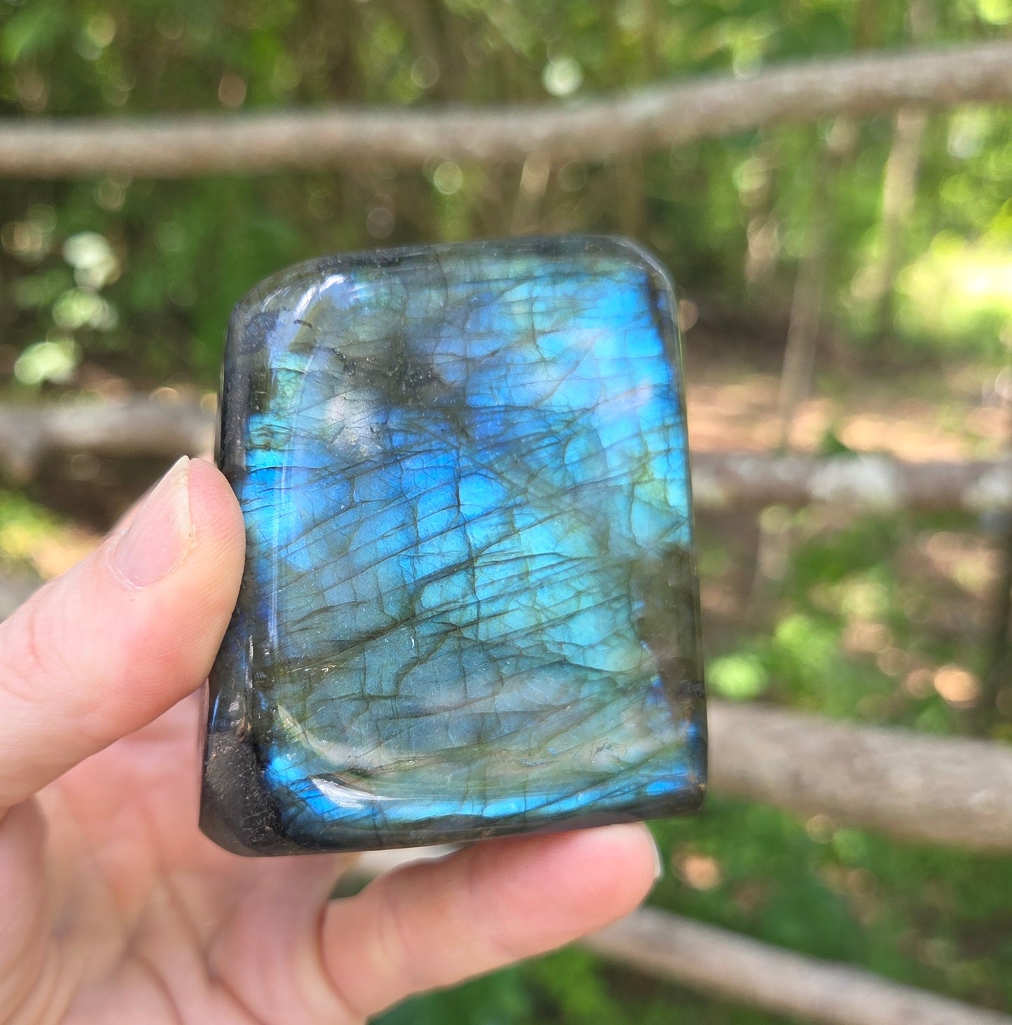 Labradorite Freeform- Super Flashy!!!✨️✨️✨️
